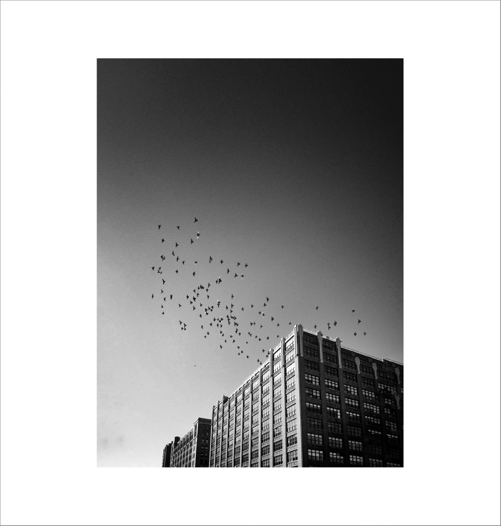 new_york_002
